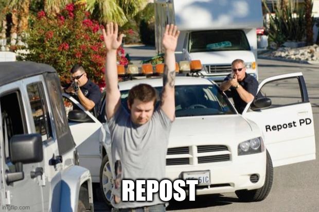 Repost Police | REPOST | image tagged in repost police | made w/ Imgflip meme maker