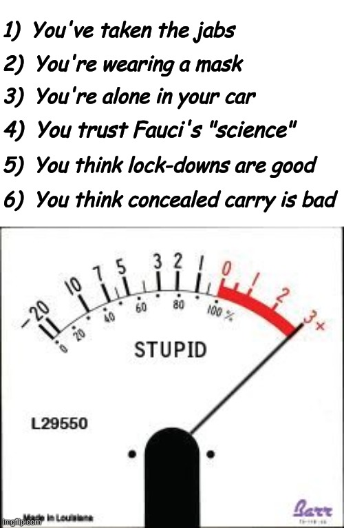 Stuck on STUPID Brainwashed People | 1)  You've taken the jabs; 2)  You're wearing a mask; 3)  You're alone in your car; 4)  You trust Fauci's "science"; 5)  You think lock-downs are good; 6)  You think concealed carry is bad | image tagged in stuck on stupid,covid vaccine,dr fauci,concealed carry | made w/ Imgflip meme maker