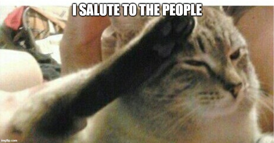Cat of Honor | I SALUTE TO THE PEOPLE | image tagged in cat of honor | made w/ Imgflip meme maker