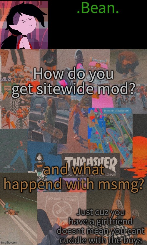 ? | How do you get sitewide mod? and what happend with msmg? | image tagged in b e a n s | made w/ Imgflip meme maker