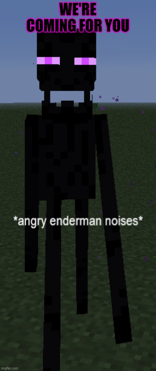 Angry Enderman noises | WE'RE COMING FOR YOU | image tagged in angry enderman noises | made w/ Imgflip meme maker
