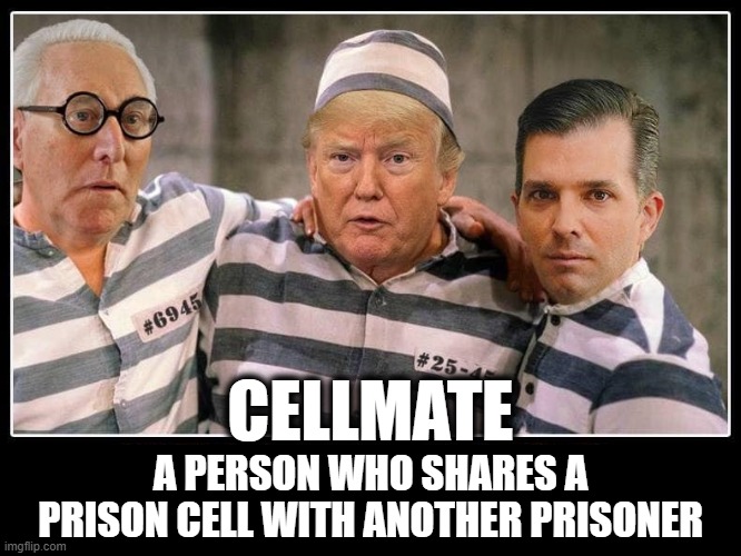 CELLMATE | CELLMATE; A PERSON WHO SHARES A PRISON CELL WITH ANOTHER PRISONER | image tagged in cellmate,convict,jail,incarceration,prison,roommate | made w/ Imgflip meme maker
