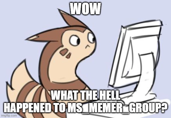 furret | WOW; WHAT THE HELL HAPPENED TO MS_MEMER_GROUP? | image tagged in furret | made w/ Imgflip meme maker