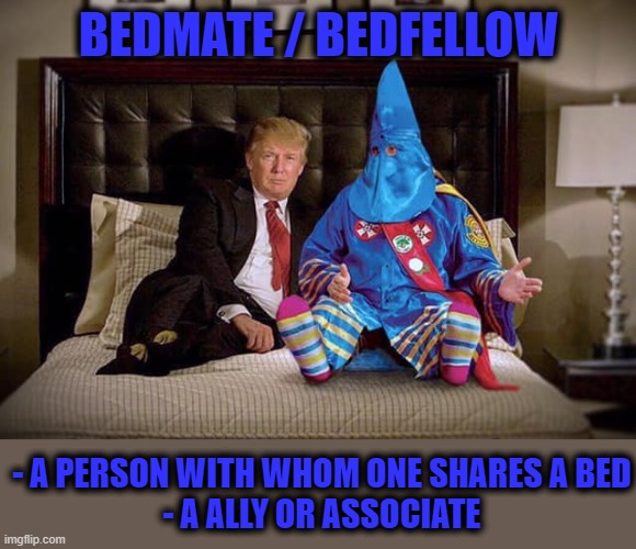 BEDMATE / BEDFELLOW | BEDMATE / BEDFELLOW; - A PERSON WITH WHOM ONE SHARES A BED
 - A ALLY OR ASSOCIATE | image tagged in bedmate,bedfellow,ally,associate,friend,share | made w/ Imgflip meme maker