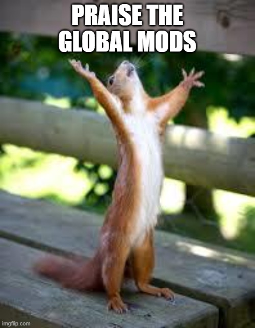 Praise Squirrel | PRAISE THE GLOBAL MODS | image tagged in praise squirrel | made w/ Imgflip meme maker