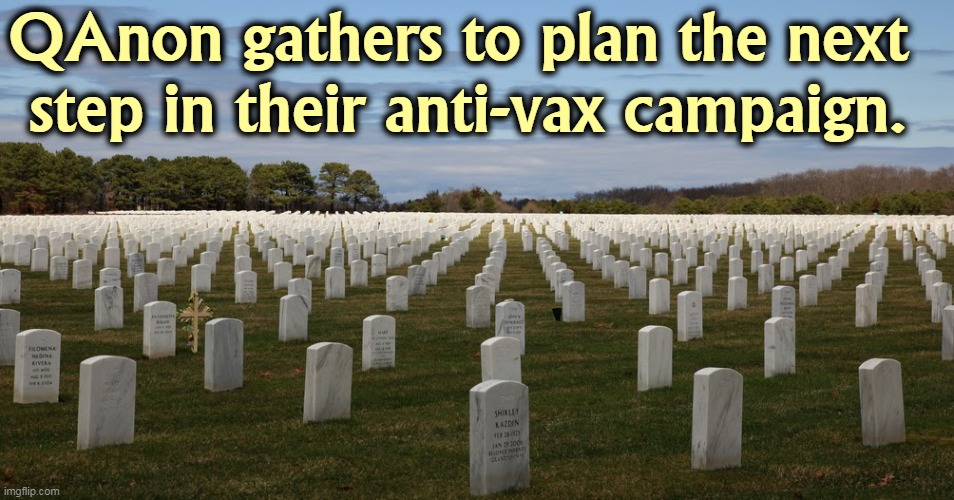 Keep up the good work and by 2024 there'll be no Republican voters left. | QAnon gathers to plan the next 
step in their anti-vax campaign. | image tagged in qanon,anti vax,suicide | made w/ Imgflip meme maker