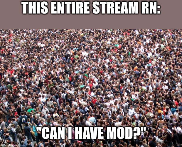 crowd of people | THIS ENTIRE STREAM RN:; "CAN I HAVE MOD?" | image tagged in crowd of people | made w/ Imgflip meme maker
