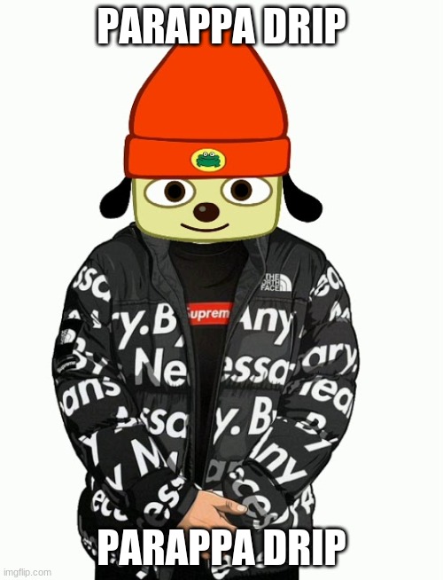 parappa drip | PARAPPA DRIP; PARAPPA DRIP | image tagged in parappa | made w/ Imgflip meme maker