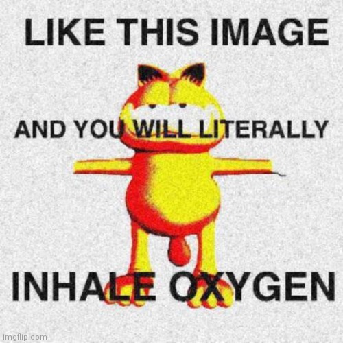 GUyS LiCK This foR FReE Rubox | image tagged in garfield,dumb | made w/ Imgflip meme maker