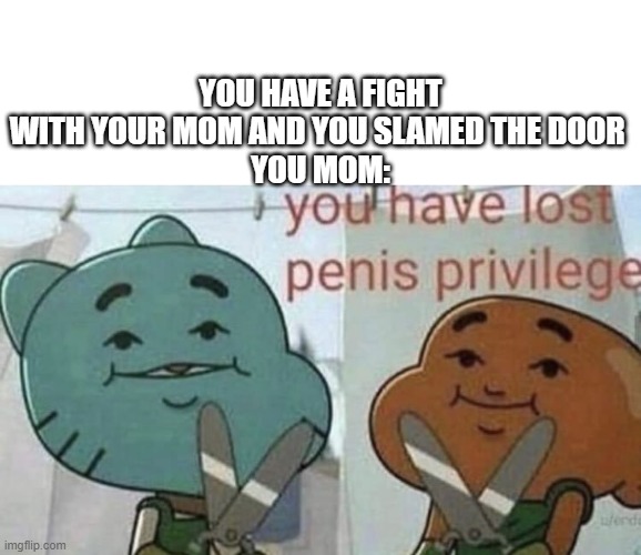 ... | YOU HAVE A FIGHT WITH YOUR MOM AND YOU SLAMED THE DOOR 
YOU MOM: | image tagged in you have lost p nis privilege | made w/ Imgflip meme maker