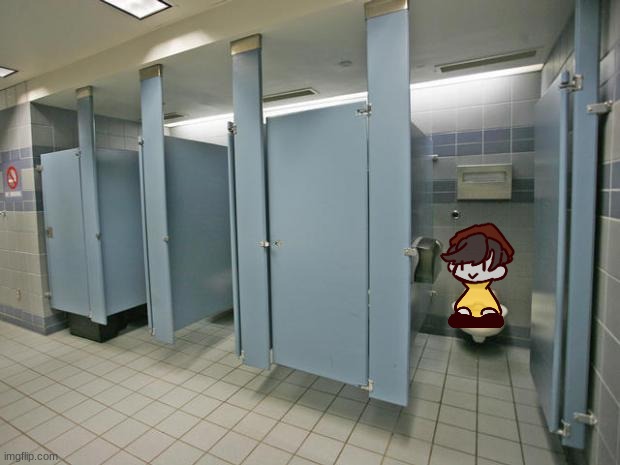 Bathroom stall | image tagged in bathroom stall | made w/ Imgflip meme maker