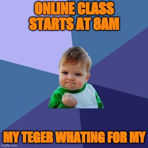 Success Kid Meme |  ONLINE CLASS STARTS AT 8AM; MY TEGER WHATING FOR MY | image tagged in memes,success kid | made w/ Imgflip meme maker