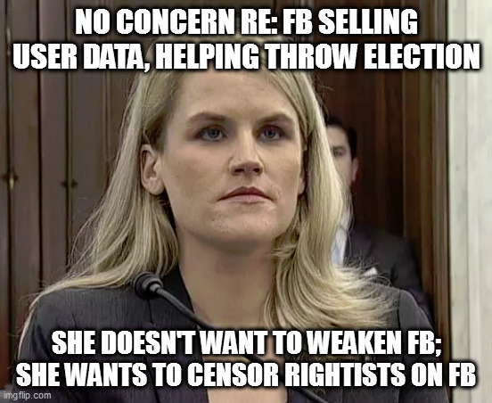 Psyop | NO CONCERN RE: FB SELLING USER DATA, HELPING THROW ELECTION; SHE DOESN'T WANT TO WEAKEN FB; SHE WANTS TO CENSOR RIGHTISTS ON FB | image tagged in fb,big chin,too much testosterone,heavy mutational load,libtard,deepstate actor | made w/ Imgflip meme maker