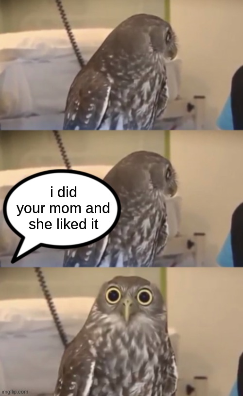 you got a new sibling on the way | i did your mom and she liked it | image tagged in owl | made w/ Imgflip meme maker