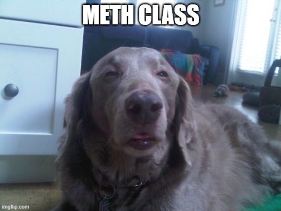 meth class rn | METH CLASS | image tagged in memes,high dog | made w/ Imgflip meme maker
