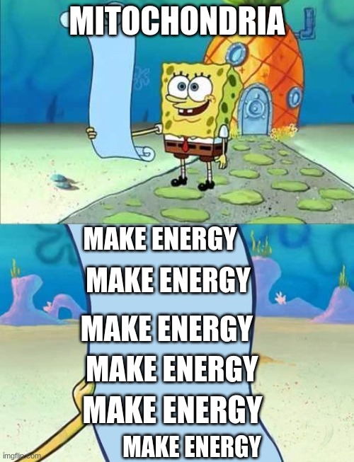 Spongebob's list of... |  MITOCHONDRIA; MAKE ENERGY; MAKE ENERGY; MAKE ENERGY; MAKE ENERGY; MAKE ENERGY; MAKE ENERGY | image tagged in spongebob's list of | made w/ Imgflip meme maker