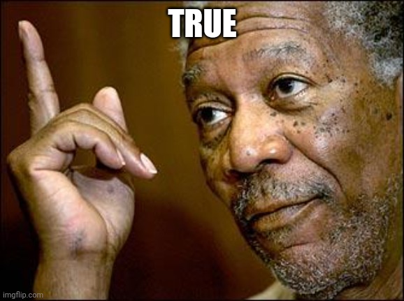 This Morgan Freeman | TRUE | image tagged in this morgan freeman | made w/ Imgflip meme maker