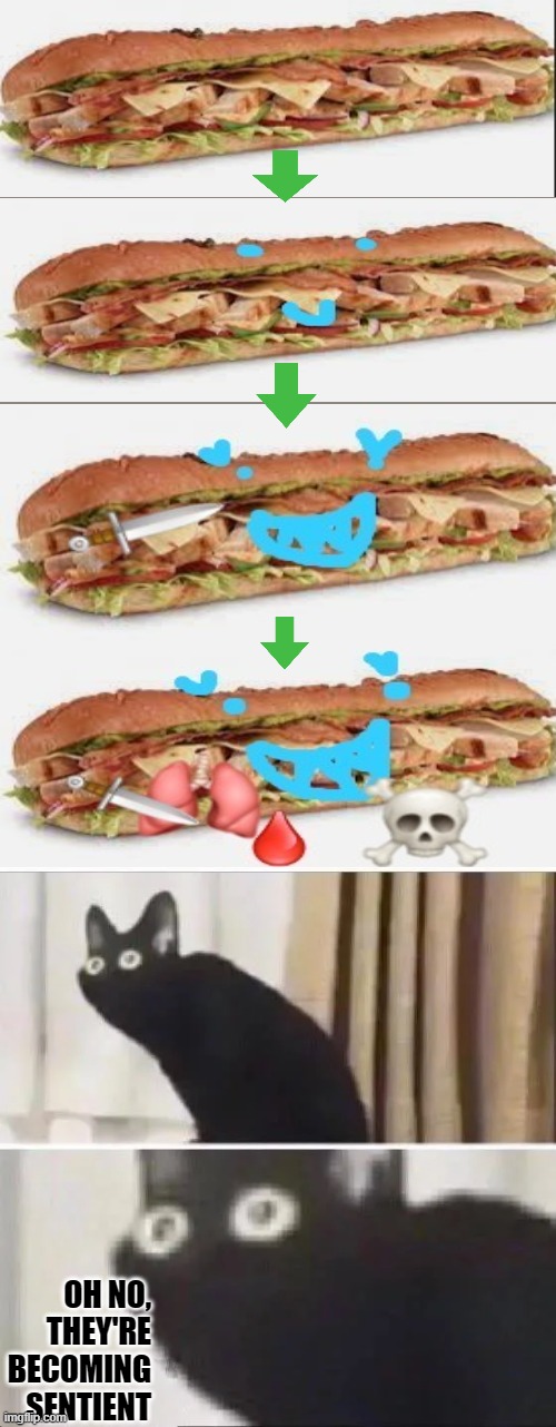 Wait a minute, did that sub just take out a human's lungs? | OH NO, THEY'RE BECOMING SENTIENT | image tagged in oh no black cat | made w/ Imgflip meme maker