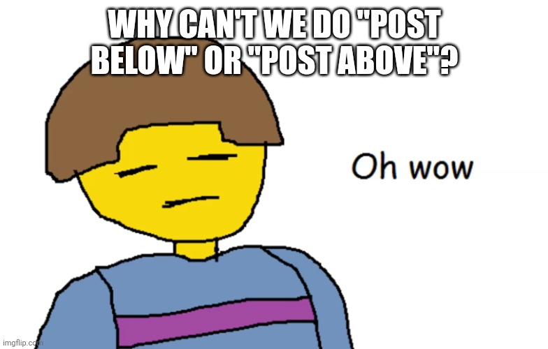 Its not listed as illegal in the rules. | WHY CAN'T WE DO "POST BELOW" OR "POST ABOVE"? | image tagged in oh wow | made w/ Imgflip meme maker