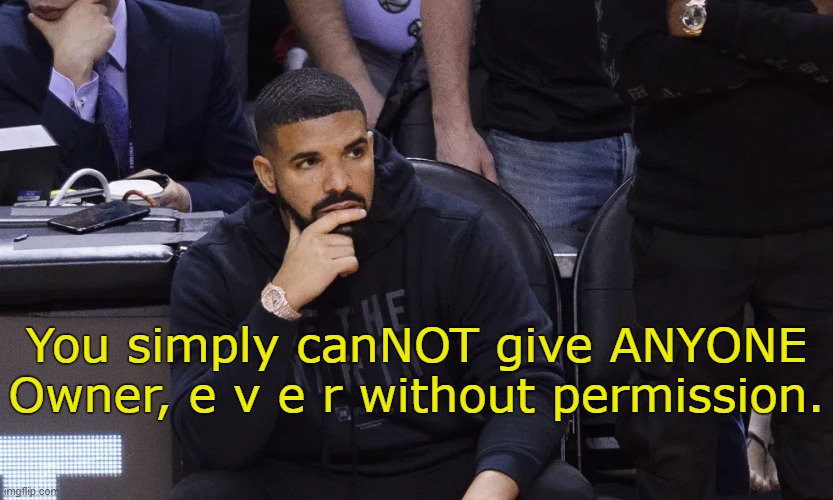 Please. | You simply canNOT give ANYONE Owner, e v e r without permission. | image tagged in drake thinking | made w/ Imgflip meme maker