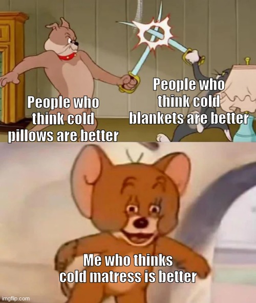 it's better trust me | People who think cold blankets are better; People who think cold pillows are better; Me who thinks cold matress is better | image tagged in tom and spike fighting,dank memes | made w/ Imgflip meme maker