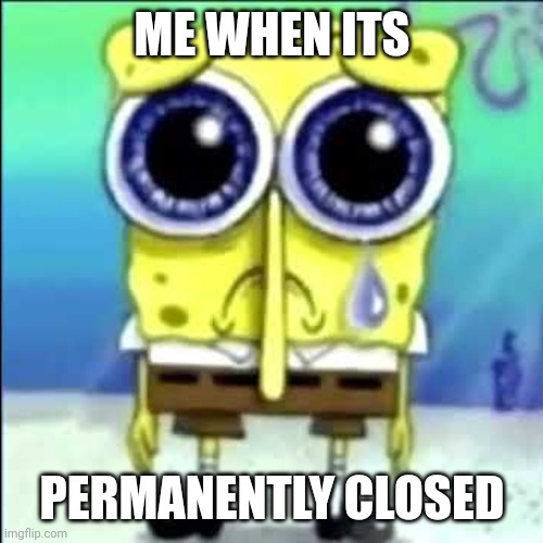 Sad Spongebob | ME WHEN ITS PERMANENTLY CLOSED | image tagged in sad spongebob | made w/ Imgflip meme maker