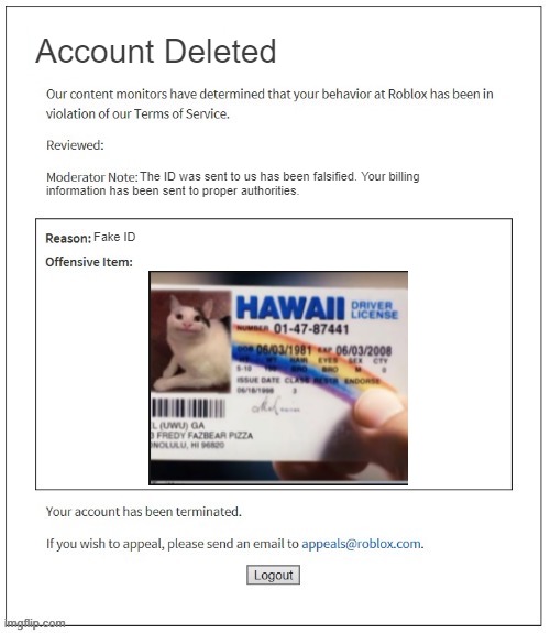 Yessir | Account Deleted; The ID was sent to us has been falsified. Your billing; information has been sent to proper authorities. Fake ID | image tagged in moderation system | made w/ Imgflip meme maker