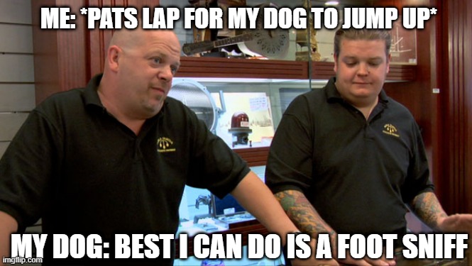 True Sadness |  ME: *PATS LAP FOR MY DOG TO JUMP UP*; MY DOG: BEST I CAN DO IS A FOOT SNIFF | image tagged in pawn stars best i can do,meme,dog,sadness | made w/ Imgflip meme maker
