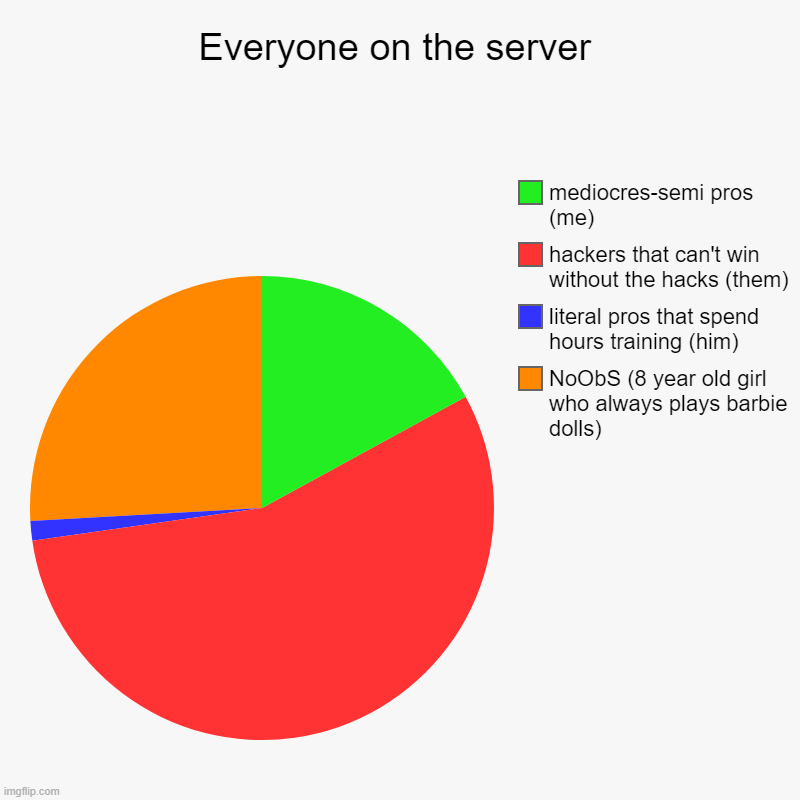 Everyone on the server | NoObS (8 year old girl who always plays barbie dolls), literal pros that spend hours training (him), hackers that c | image tagged in charts,pie charts | made w/ Imgflip chart maker