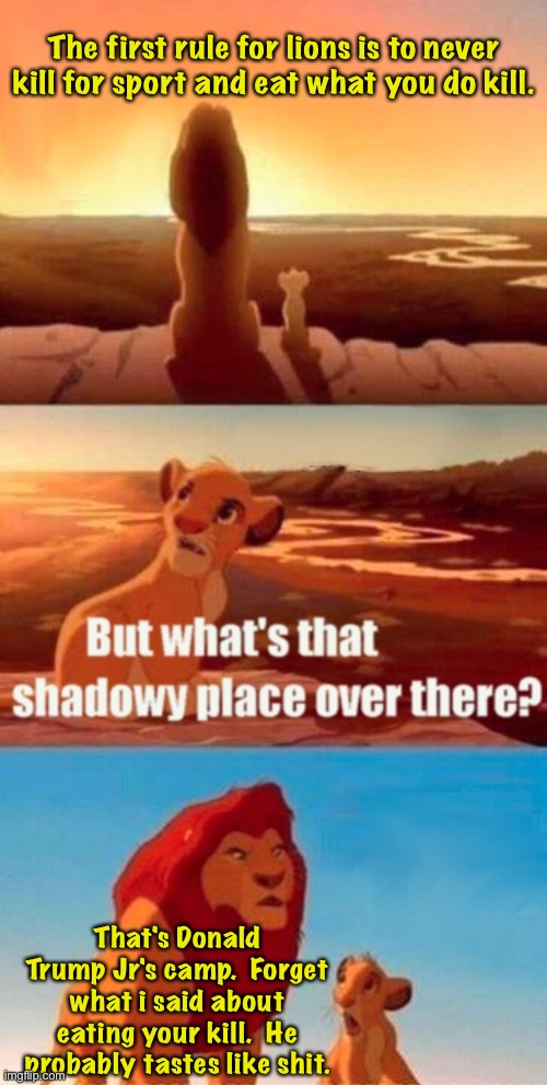 Simba Shadowy Place Meme | The first rule for lions is to never kill for sport and eat what you do kill. That's Donald Trump Jr's camp.  Forget what i said about eatin | image tagged in memes,simba shadowy place | made w/ Imgflip meme maker