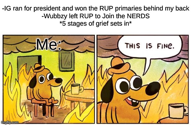 If anything this isn't fine. | -IG ran for president and won the RUP primaries behind my back
-Wubbzy left RUP to Join the NERDS
*5 stages of grief sets in*; Me: | image tagged in memes,this is fine | made w/ Imgflip meme maker