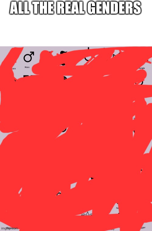 every gender | ALL THE REAL GENDERS | image tagged in every gender | made w/ Imgflip meme maker