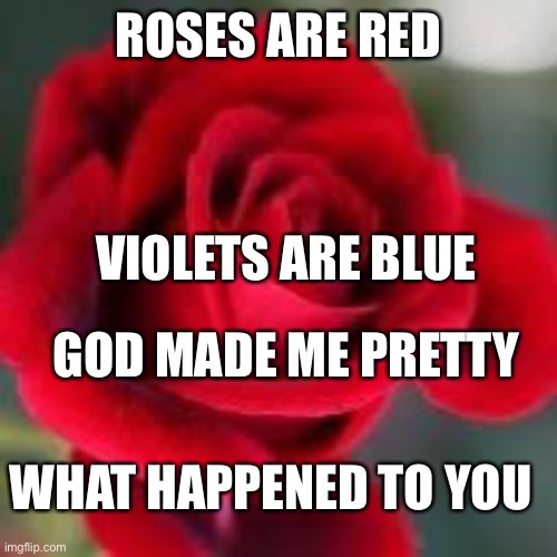 Heard it from a freind | ROSES ARE RED; VIOLETS ARE BLUE; GOD MADE ME PRETTY; WHAT HAPPENED TO YOU | image tagged in roses are red,insult,roast,ugly | made w/ Imgflip meme maker