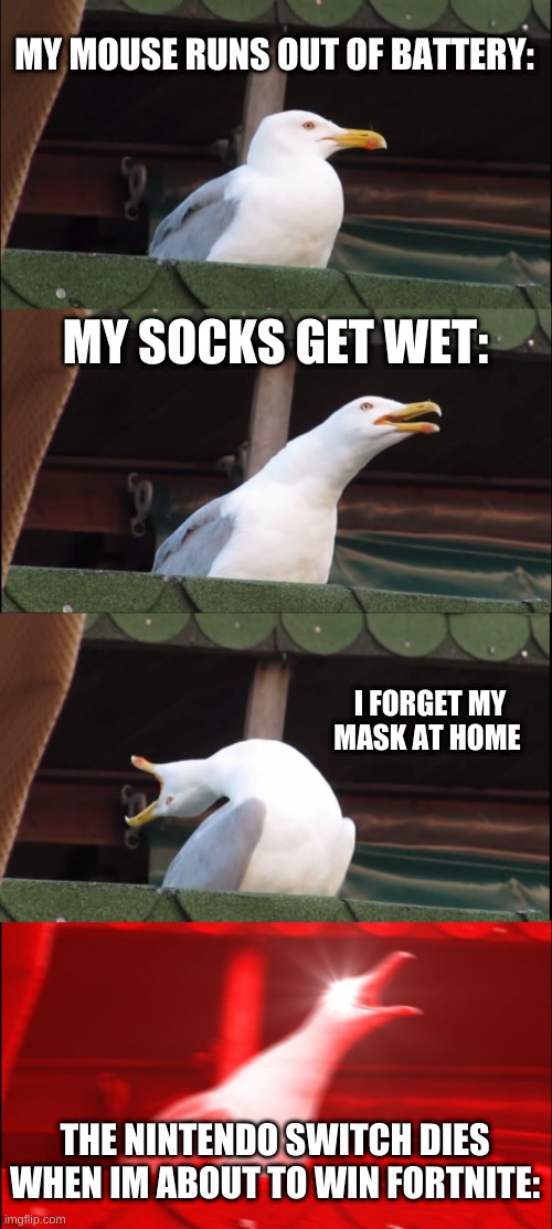 The worst of annoying things | MY MOUSE RUNS OUT OF BATTERY:; MY SOCKS GET WET:; I FORGET MY MASK AT HOME; THE NINTENDO SWITCH DIES WHEN IM ABOUT TO WIN FORTNITE: | image tagged in memes,inhaling seagull | made w/ Imgflip meme maker