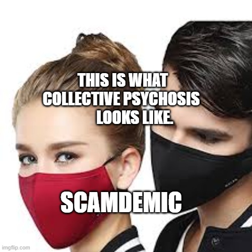 Mask Couple | THIS IS WHAT COLLECTIVE PSYCHOSIS           LOOKS LIKE. SCAMDEMIC | image tagged in mask couple | made w/ Imgflip meme maker