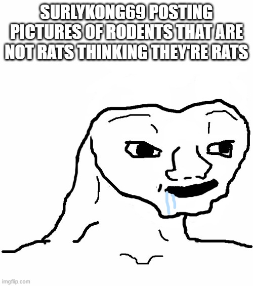 Brainless | SURLYKONG69 POSTING PICTURES OF RODENTS THAT ARE NOT RATS THINKING THEY'RE RATS | image tagged in brainless | made w/ Imgflip meme maker