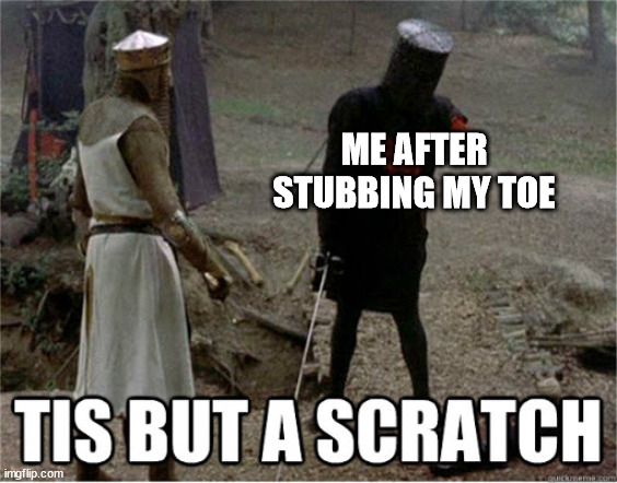 This doesnt hurt me so much | ME AFTER STUBBING MY TOE | image tagged in tis but a scratch | made w/ Imgflip meme maker