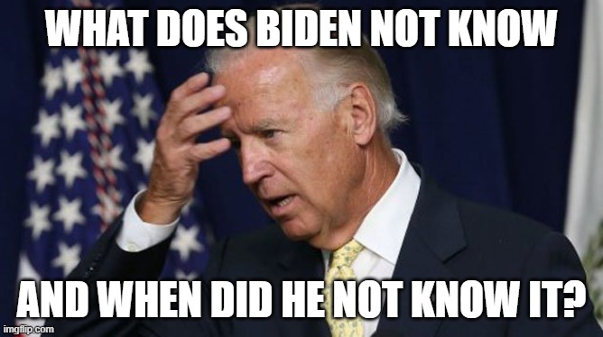 Joe Biden worries | WHAT DOES BIDEN NOT KNOW; AND WHEN DID HE NOT KNOW IT? | image tagged in joe biden worries | made w/ Imgflip meme maker