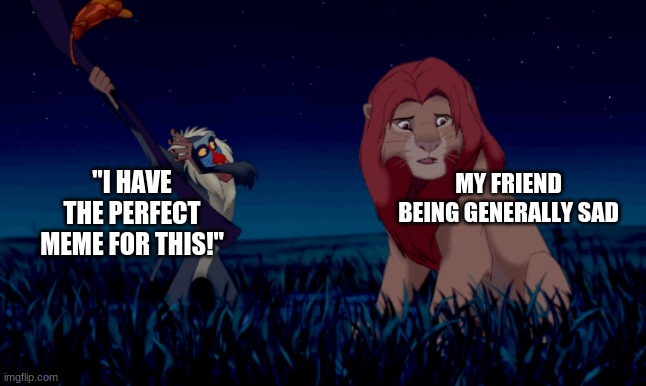 *Me scrolling through my meme collection* | "I HAVE THE PERFECT MEME FOR THIS!"; MY FRIEND BEING GENERALLY SAD | image tagged in lion king,memes,friends,disney | made w/ Imgflip meme maker