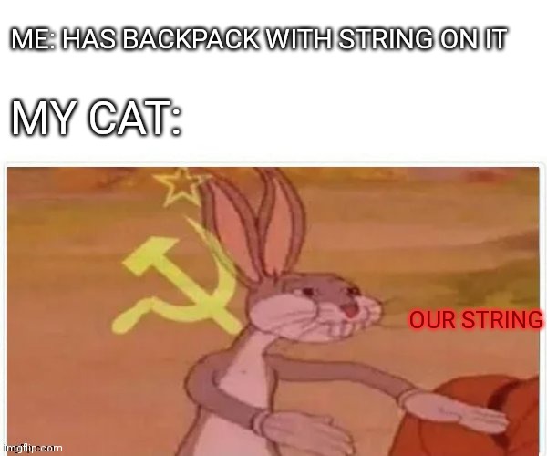 communist bugs bunny | ME: HAS BACKPACK WITH STRING ON IT; MY CAT:; OUR STRING | image tagged in communist bugs bunny | made w/ Imgflip meme maker