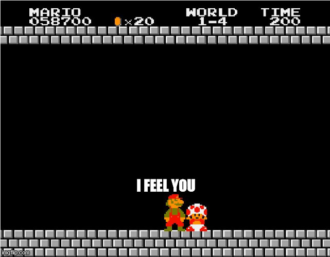 Your princess is in another castle | I FEEL YOU | image tagged in your princess is in another castle | made w/ Imgflip meme maker