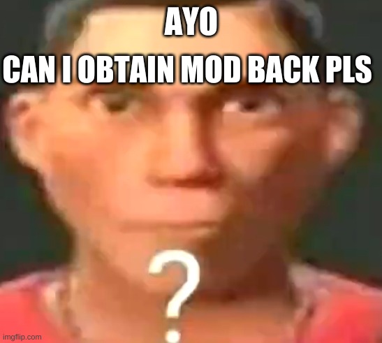 used to have it | CAN I OBTAIN MOD BACK PLS; AYO | image tagged in scout confused | made w/ Imgflip meme maker