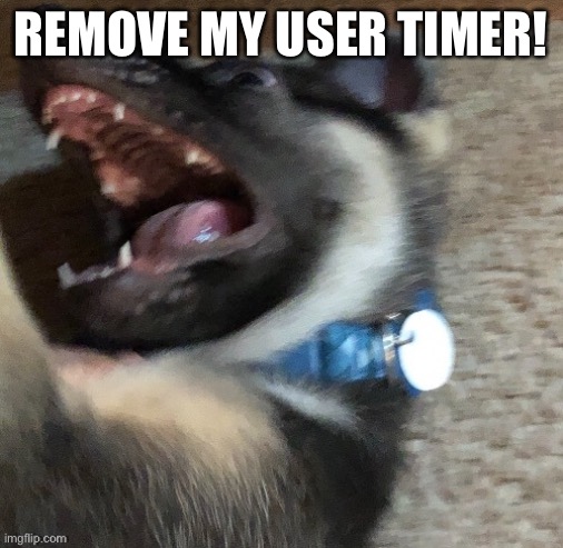 angy doggo | REMOVE MY USER TIMER! | image tagged in angy doggo | made w/ Imgflip meme maker