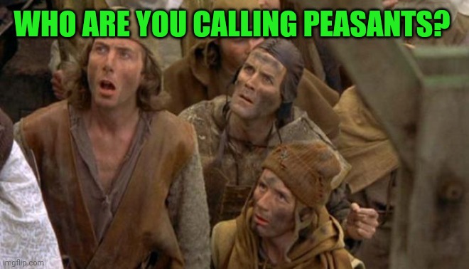 Monty Python Peasants | WHO ARE YOU CALLING PEASANTS? | image tagged in monty python peasants | made w/ Imgflip meme maker