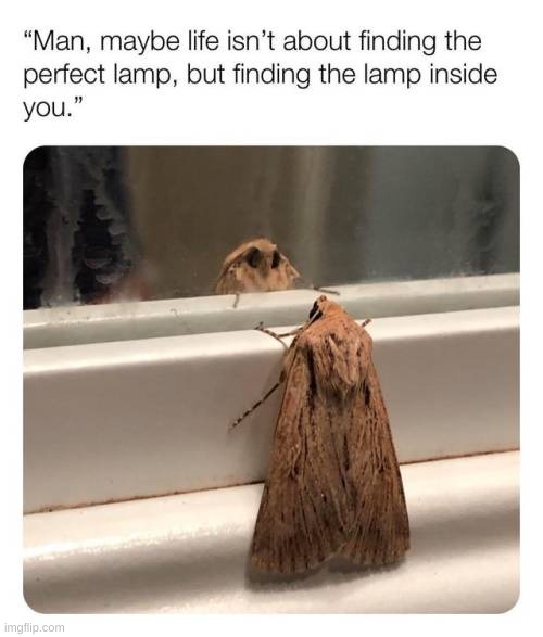 Lamp | made w/ Imgflip meme maker