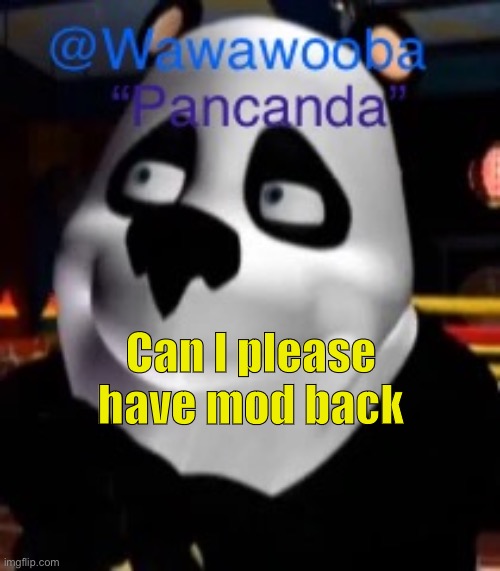 Can I please have mod back | image tagged in wawa s pancanda template | made w/ Imgflip meme maker