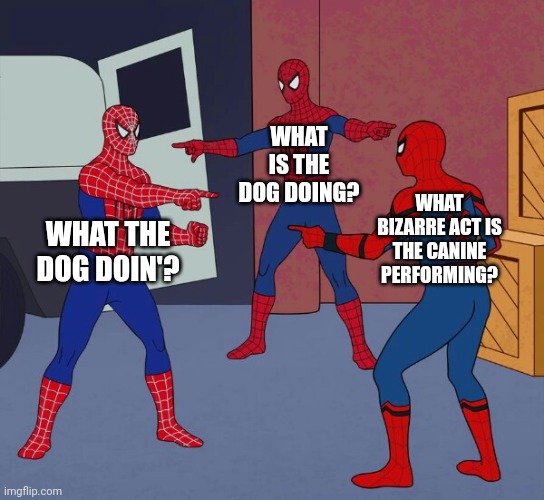 Spider Man Triple | WHAT IS THE DOG DOING? WHAT BIZARRE ACT IS THE CANINE PERFORMING? WHAT THE DOG DOIN'? | image tagged in spider man triple,memes,funny,what the dog doin | made w/ Imgflip meme maker