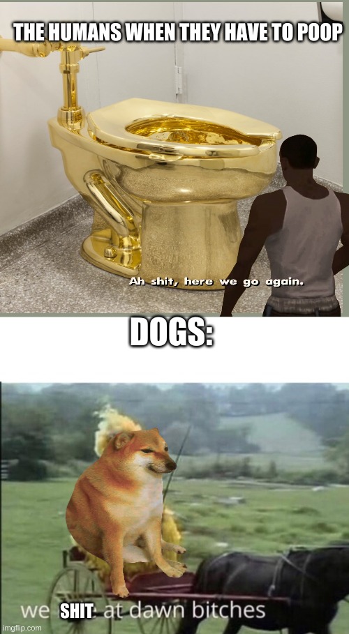We ride at dawn bitches |  THE HUMANS WHEN THEY HAVE TO POOP; DOGS:; SHIT | image tagged in we ride at dawn bitches | made w/ Imgflip meme maker