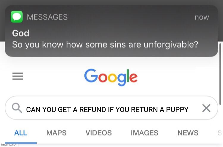 So you know how some sins are unforgivable? | CAN YOU GET A REFUND IF YOU RETURN A PUPPY | image tagged in so you know how some sins are unforgivable | made w/ Imgflip meme maker