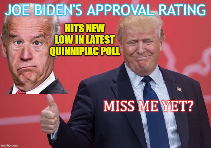 Joe Biden's approval rating hits new low in latest Quinnipiac poll; Miss me yet? | HITS NEW LOW IN LATEST QUINNIPIAC POLL; JOE BIDEN'S APPROVAL RATING; MISS ME YET? | image tagged in miss me yet | made w/ Imgflip meme maker